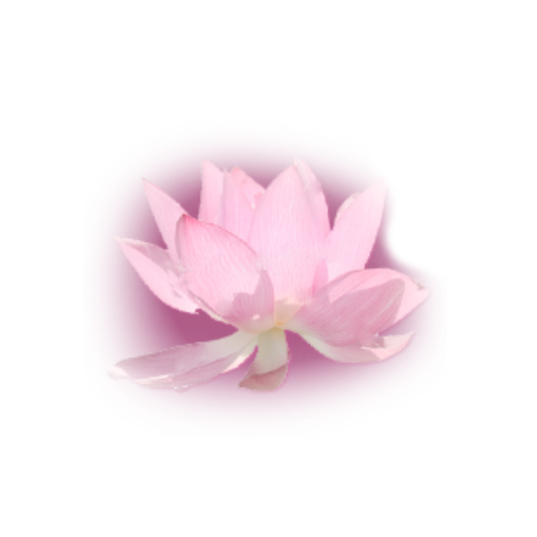 Voice of the Gatekeepers