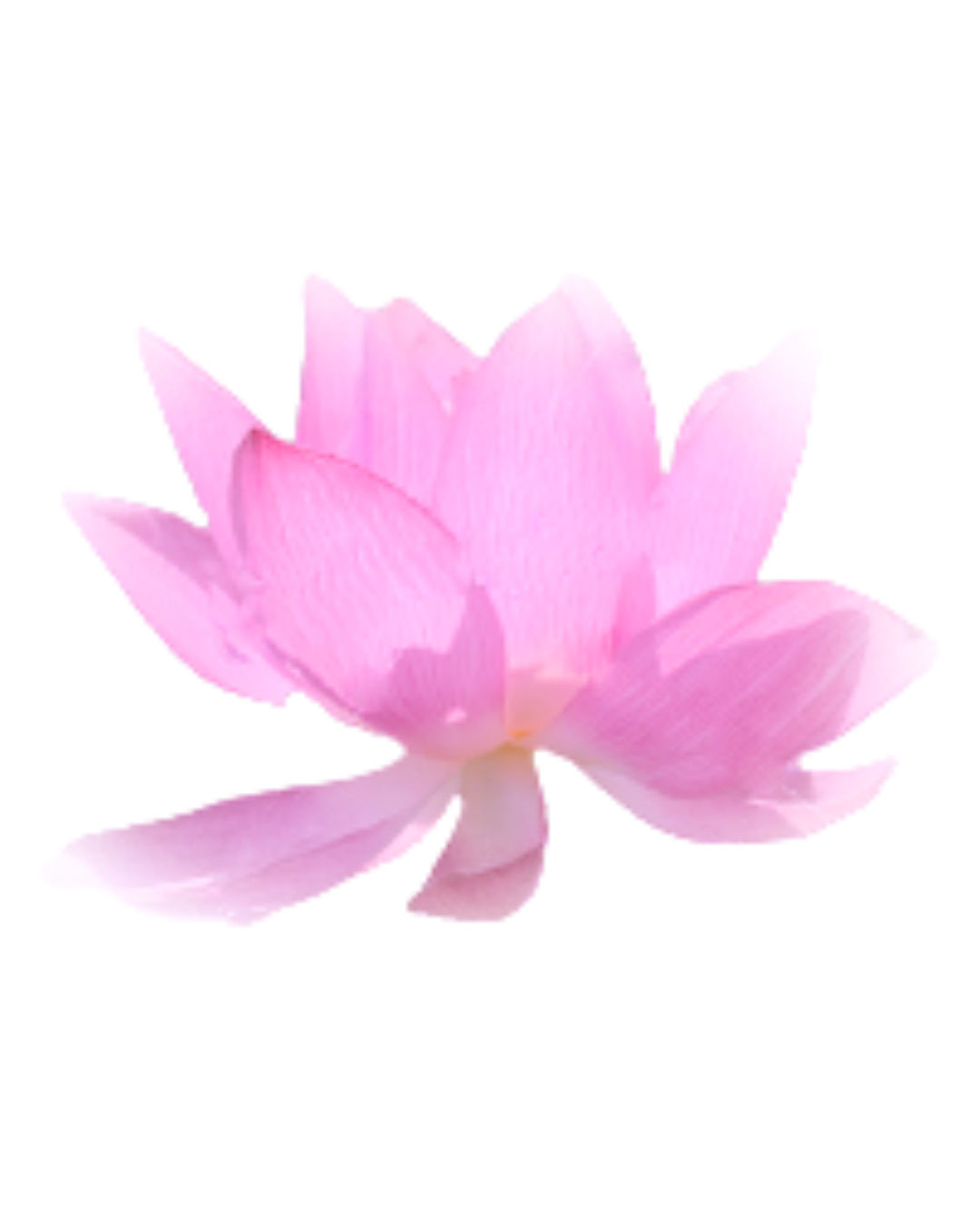 Voice of the Gatekeepers